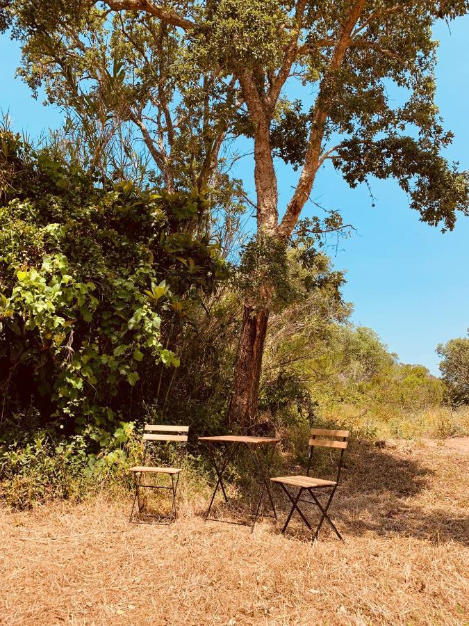 Private Eco Glamping In Aljezur Alfambras Otel Dış mekan fotoğraf